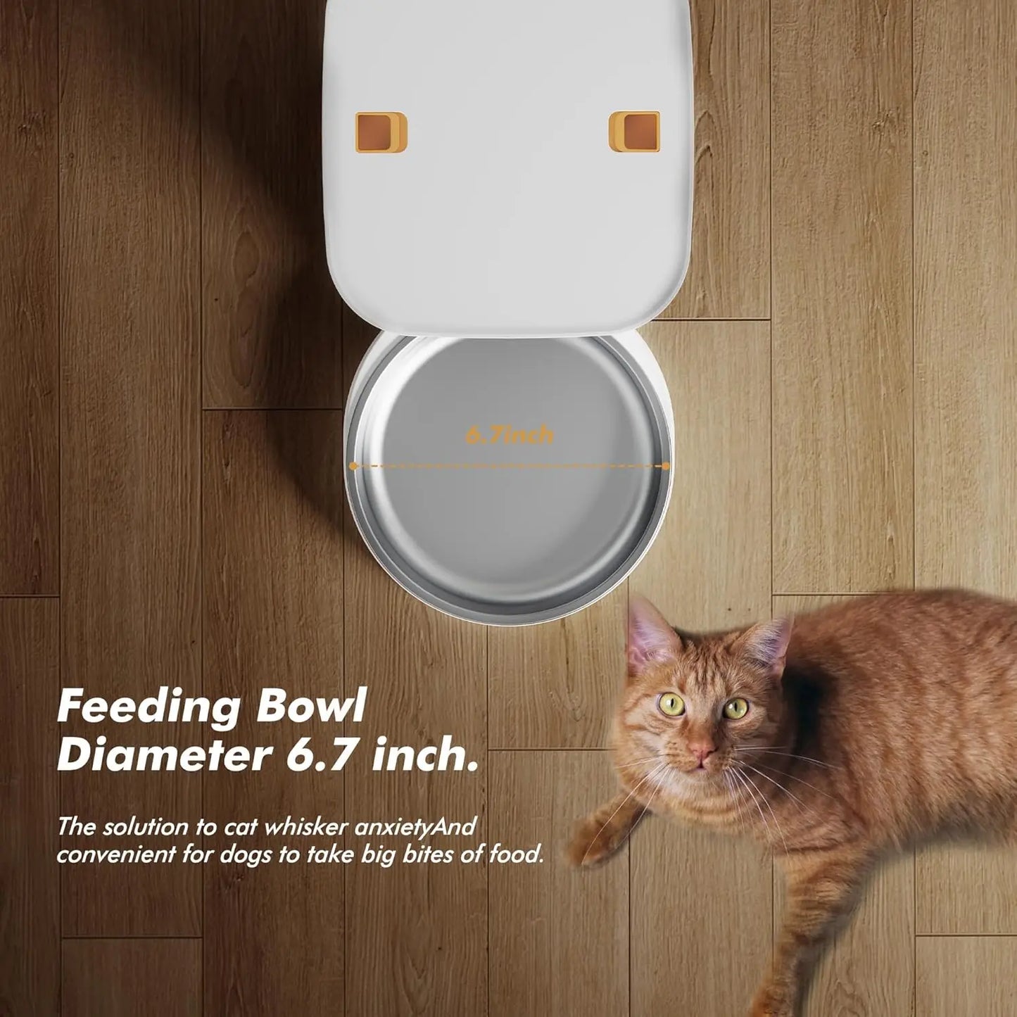 Nityers Cat Feeder With Stainless Steel Bowl And Voice Recorder