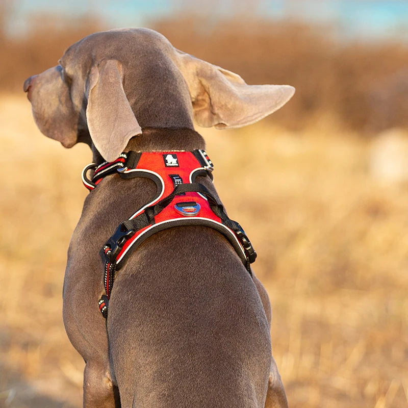 TrueLove CN Reflective No Pull Nylon Dog Harness Vehicle Lead