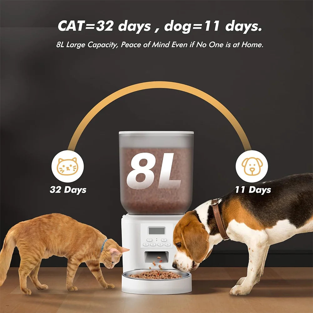 Nityers Cat Feeder With Stainless Steel Bowl And Voice Recorder