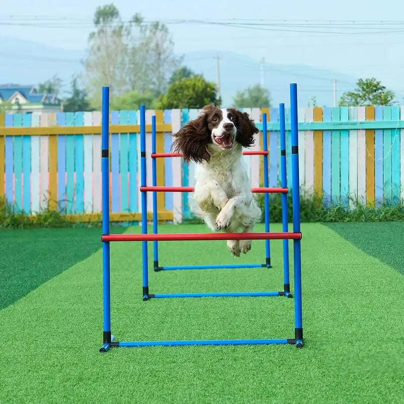Dog Agility Training Equipment 4 Piece Set With Adjustable Hurdles And Jump Ring
