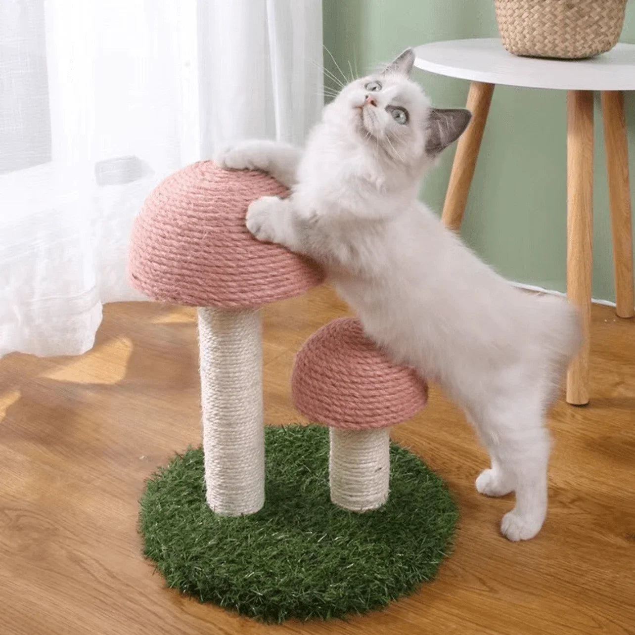 Twin Mushroom Cat Climbing Frame Tree With Scratching Posts And Platforms