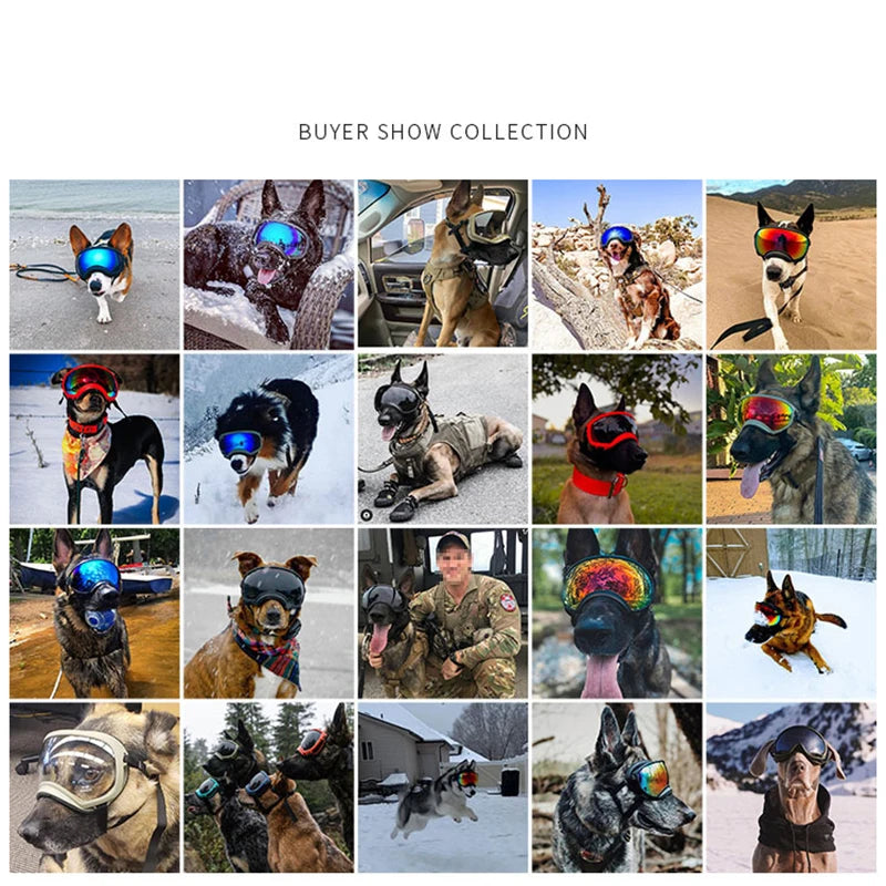 Petravel Dog Goggles Anti-UV Sunglasses Windproof Eye Protection