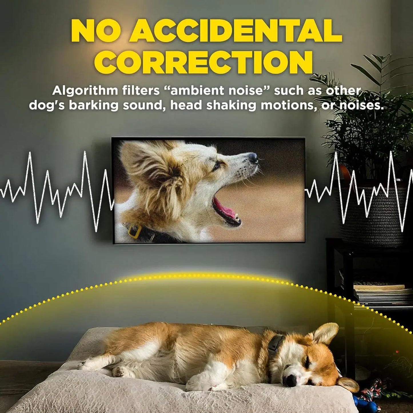Smart Barking Detection System With 33 Ft Range Alerts