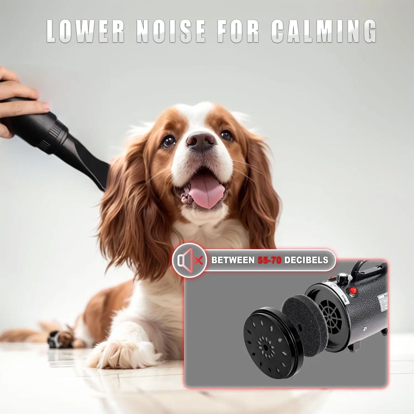 Professional High Velocity Dog Hair Dryer For Pet Grooming