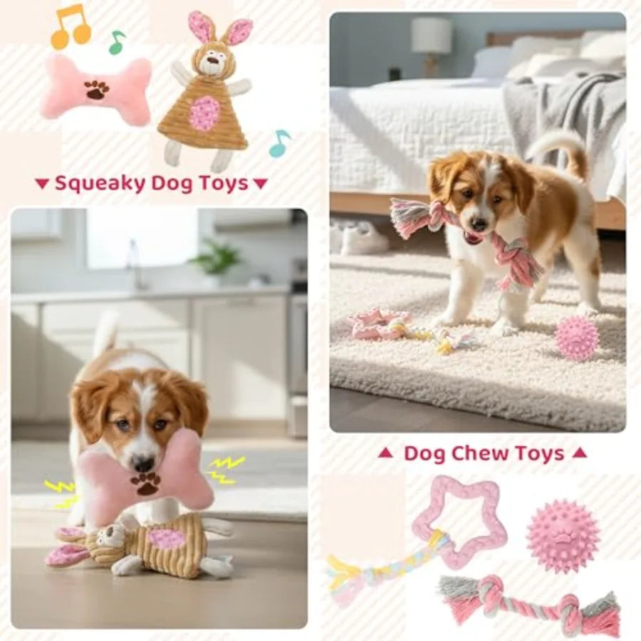 Puppy Essentials Starter Kit With Toys Collar Leash Treat Bag Blanket Bow