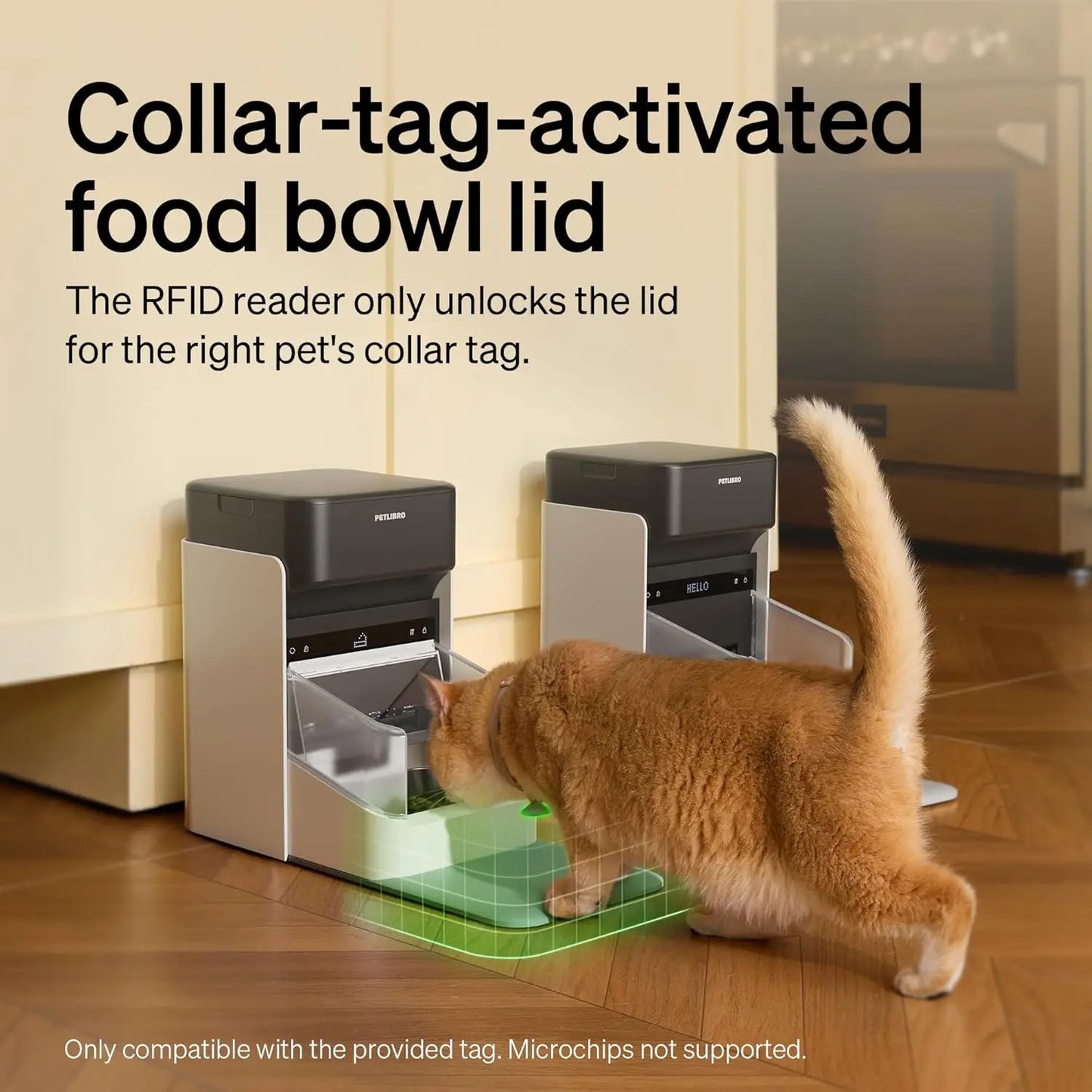 RFID Cat Feeder With Personalized Meals For Multi Pet Homes