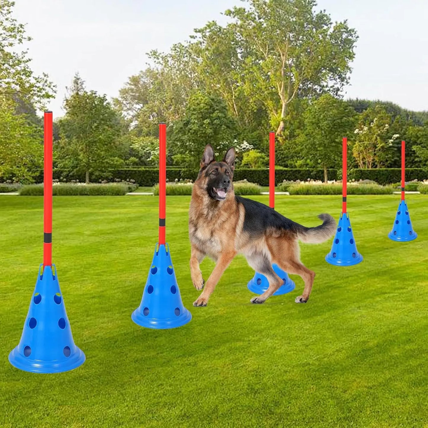 HiMISS Dog Agility Hurdle Cone Set With 12 Cones And 6 Rods