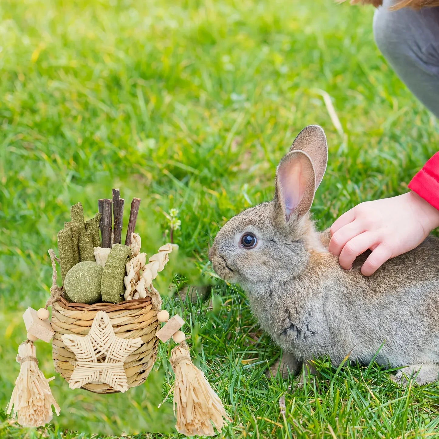 Rabbit Chew Toys for Teeth Natural Bamboo Timothy Hay Sticks Pack of 2