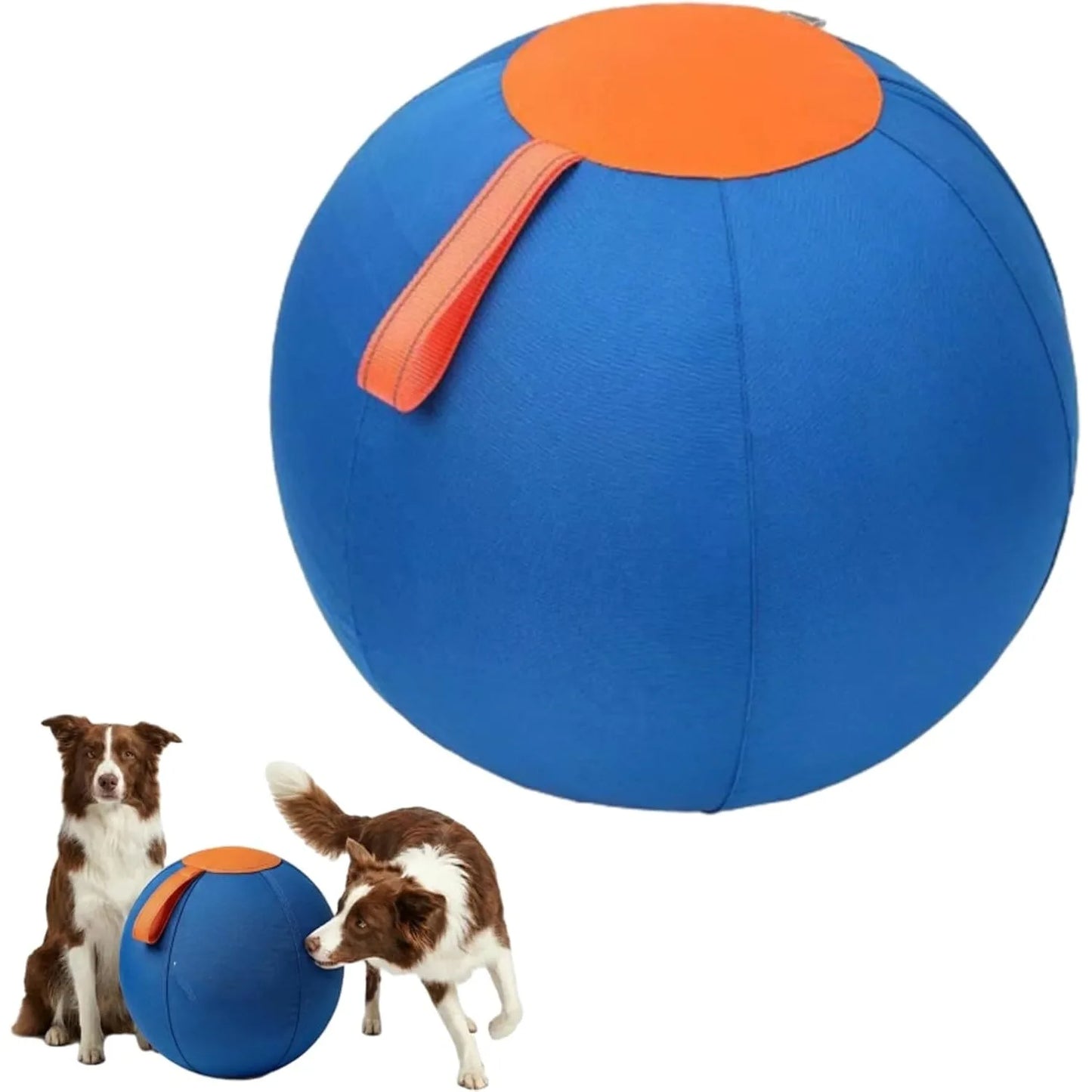 Herding Ball for Dogs With Protective Cover