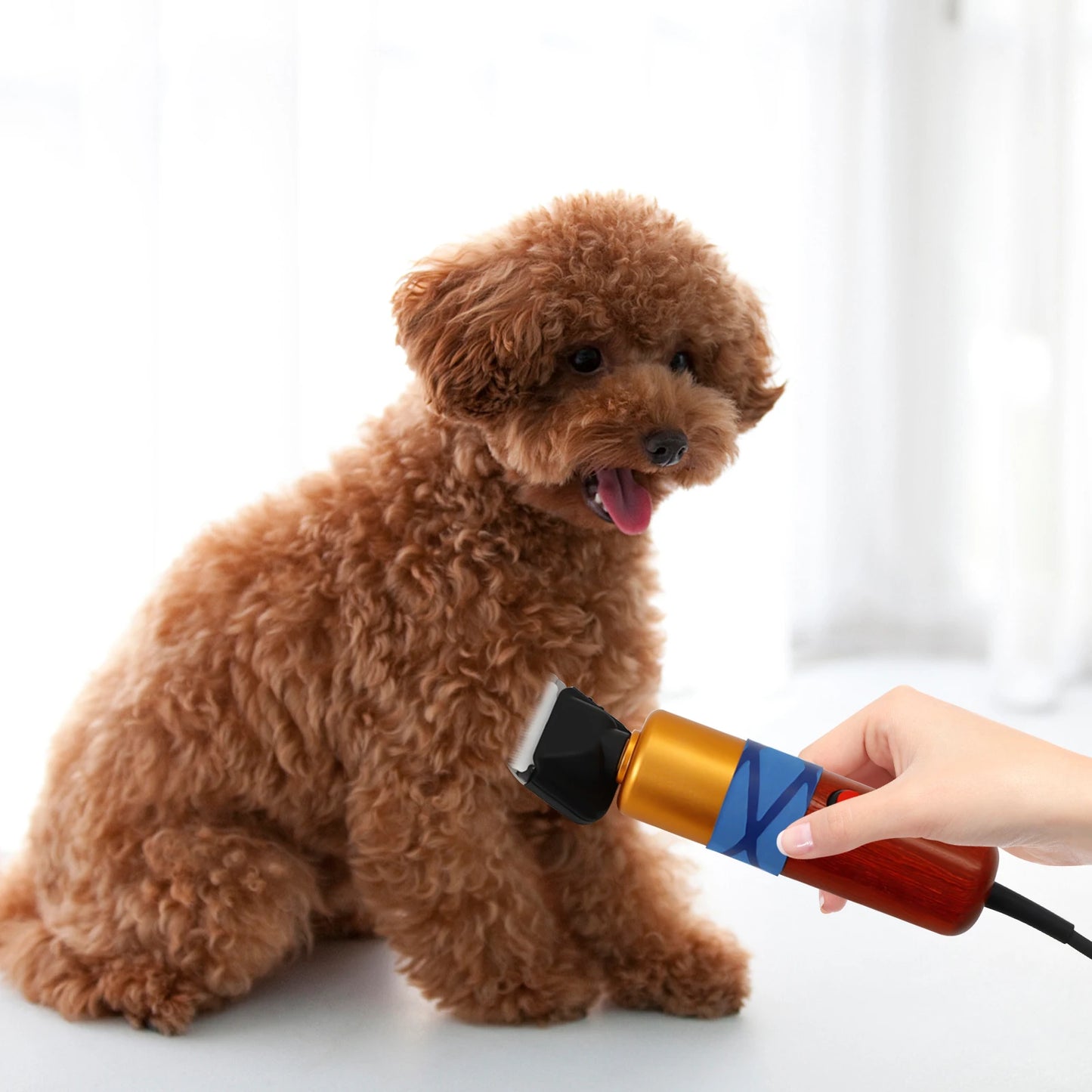 Pet Hair Clipper Low Noise High Efficiency Electric Variable Speed