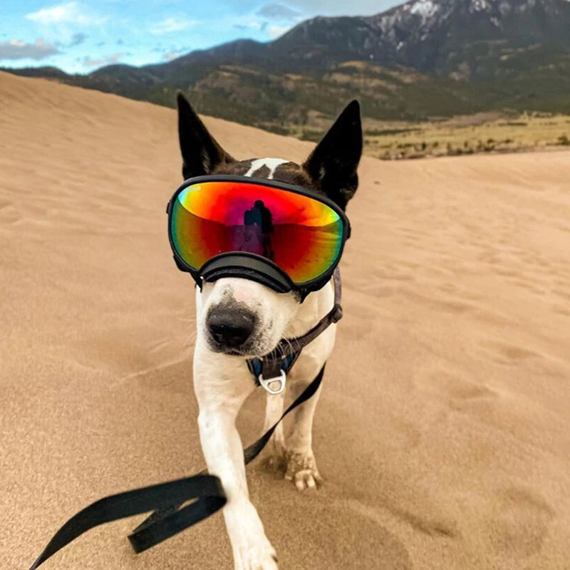 Petravel Dog Goggles Anti-UV Sunglasses Windproof Eye Protection