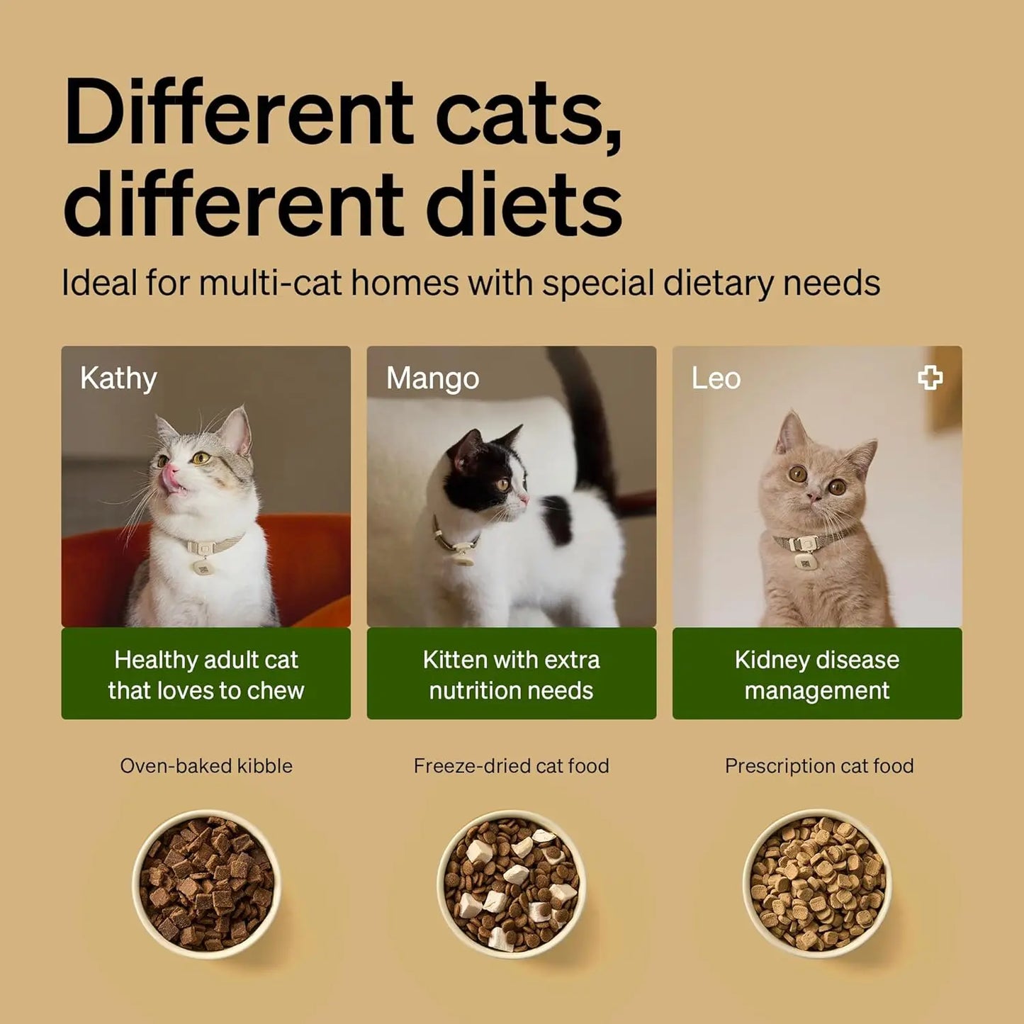 RFID Cat Feeder With Personalized Meals For Multi Pet Homes