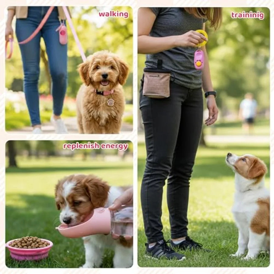Puppy Essentials Starter Kit With Toys Collar Leash Treat Bag Blanket Bow