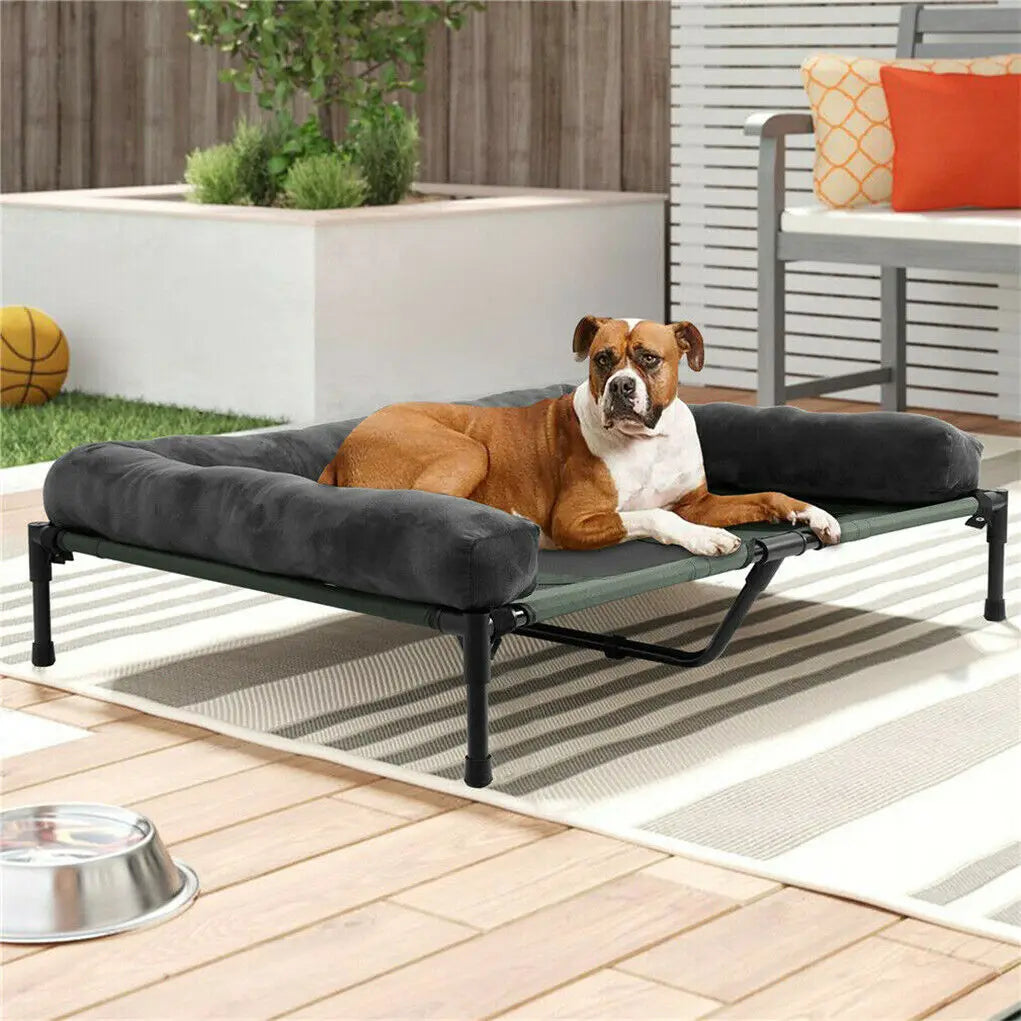BINGOPAW Elevated Indoor Outdoor Pet Bed Lounger With Detachable Bolster