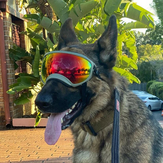 Petravel Dog Goggles Anti-UV Sunglasses Windproof Eye Protection