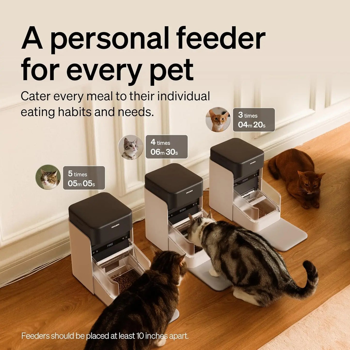 RFID Cat Feeder With Personalized Meals For Multi Pet Homes