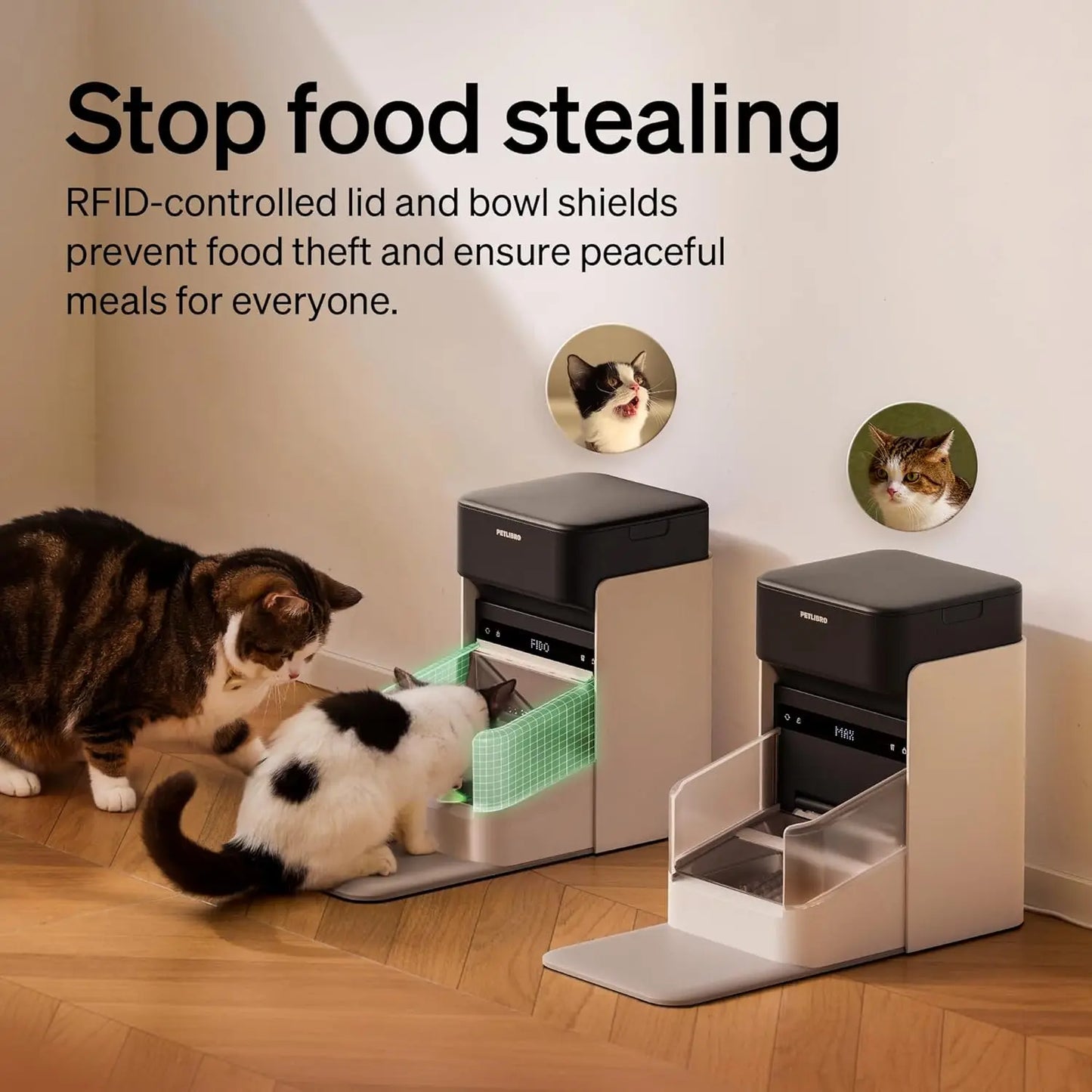 RFID Cat Feeder With Personalized Meals For Multi Pet Homes