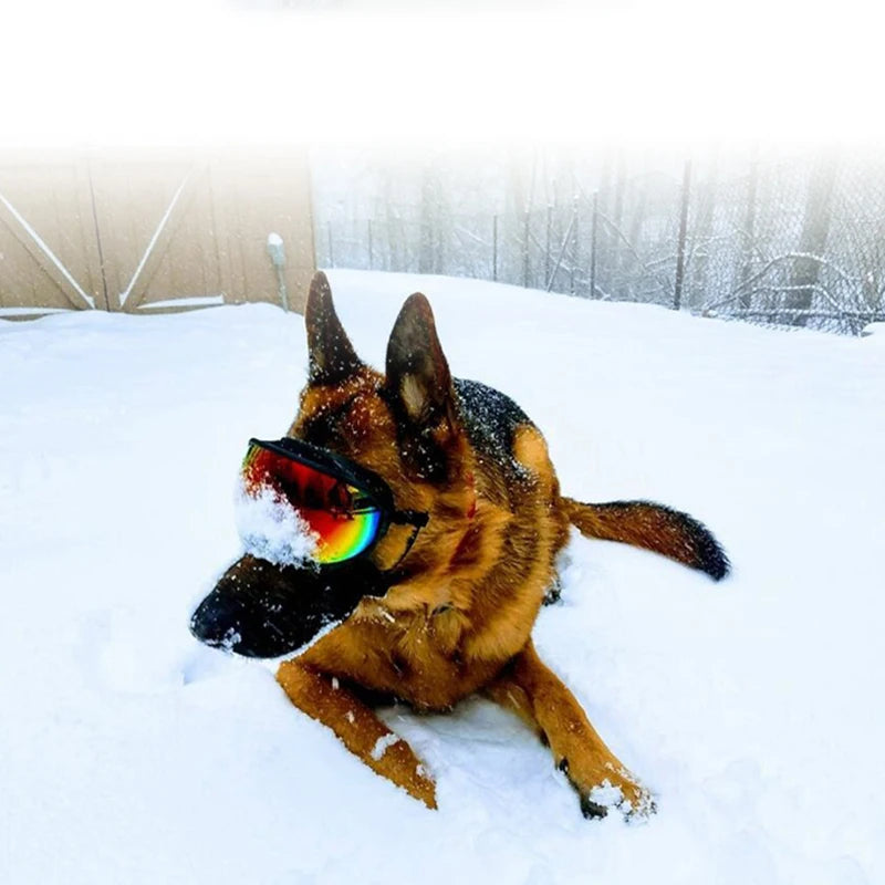 Petravel Dog Goggles Anti-UV Sunglasses Windproof Eye Protection