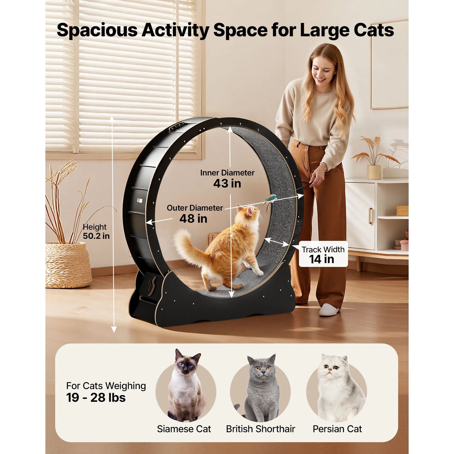 VEVOR Cat Exercise Wheel Wooden Running Wheel For Indoor Cats