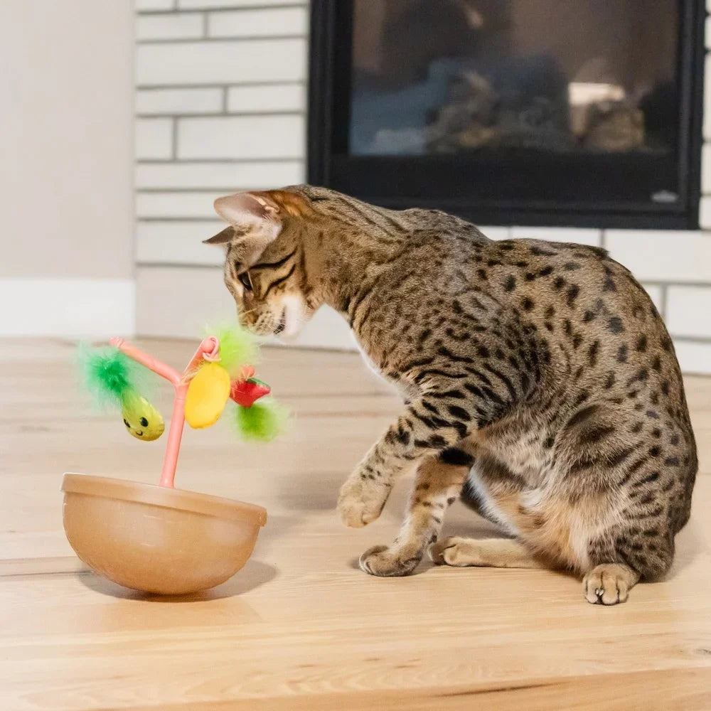 Wobbling Cat Toy Fruit Bowl With 5 Interactive Catnip Toys
