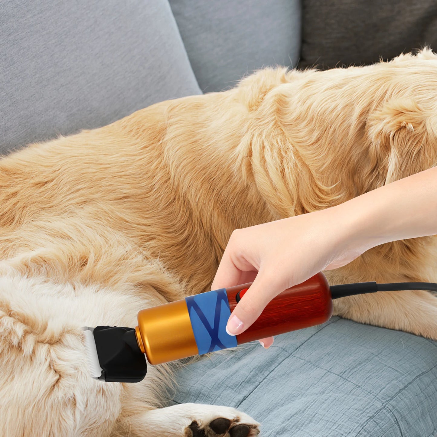 Pet Hair Clipper Low Noise High Efficiency Electric Variable Speed