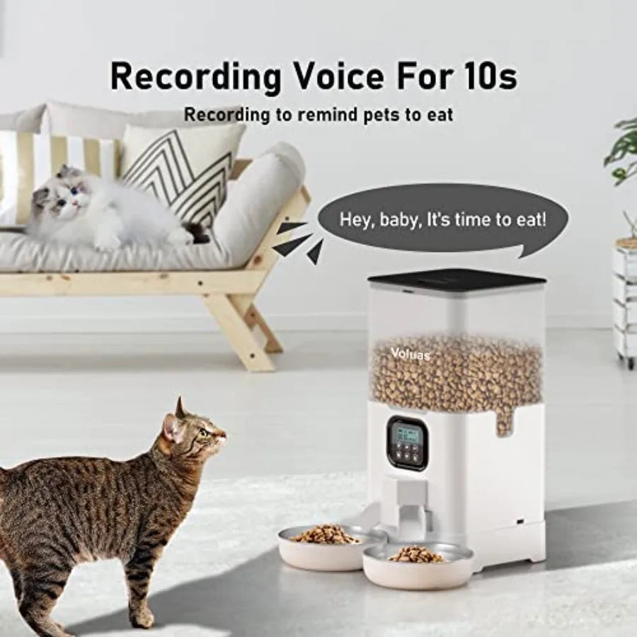 Automatic Cat Feeder For Two Cats With Memory Function And Stainless Steel Bowls