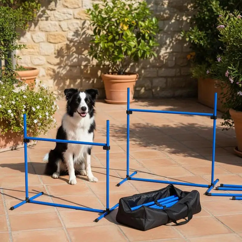 Dog Agility Training Kit 4 Piece Set With Interlocking Obstacles
