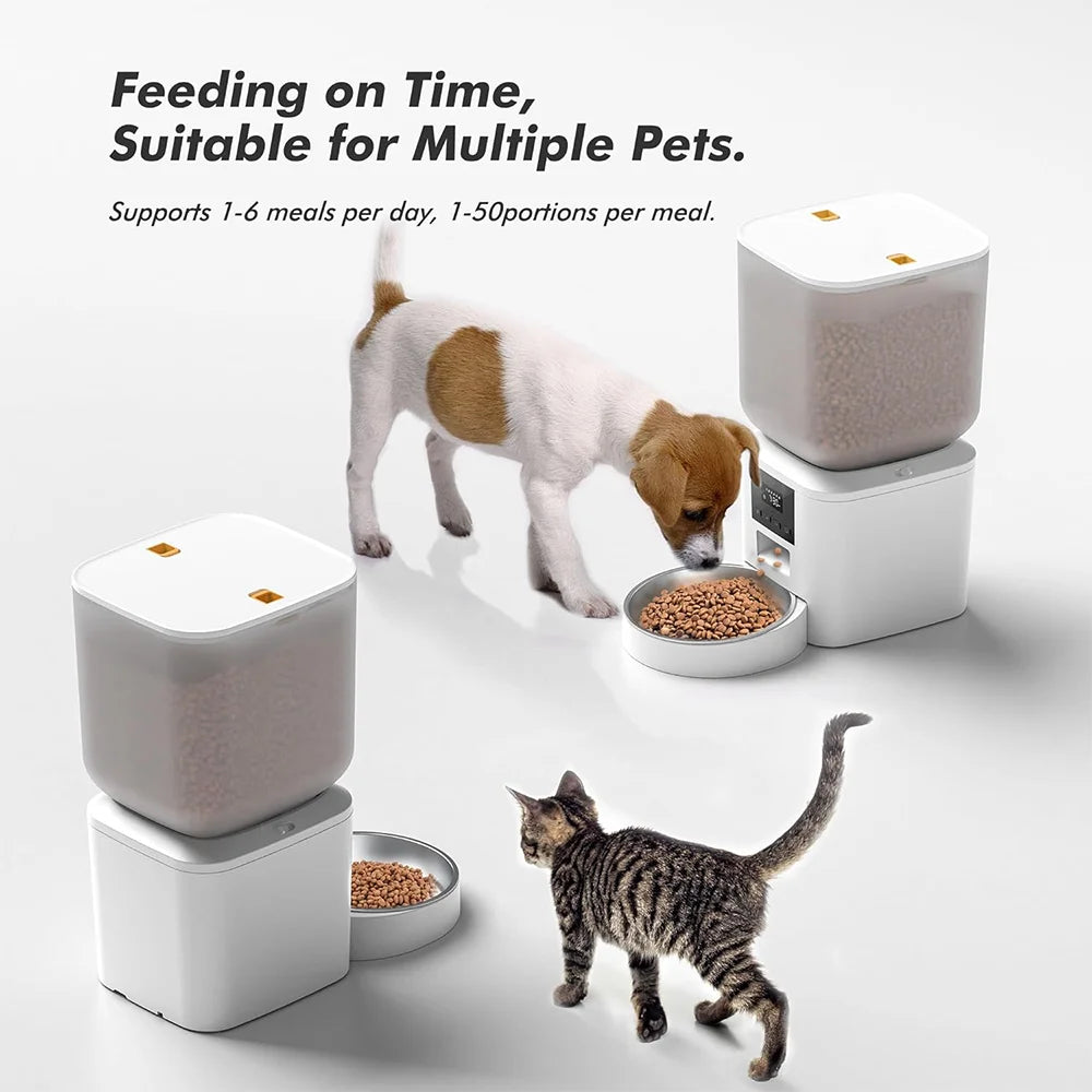 Nityers Cat Feeder With Stainless Steel Bowl And Voice Recorder