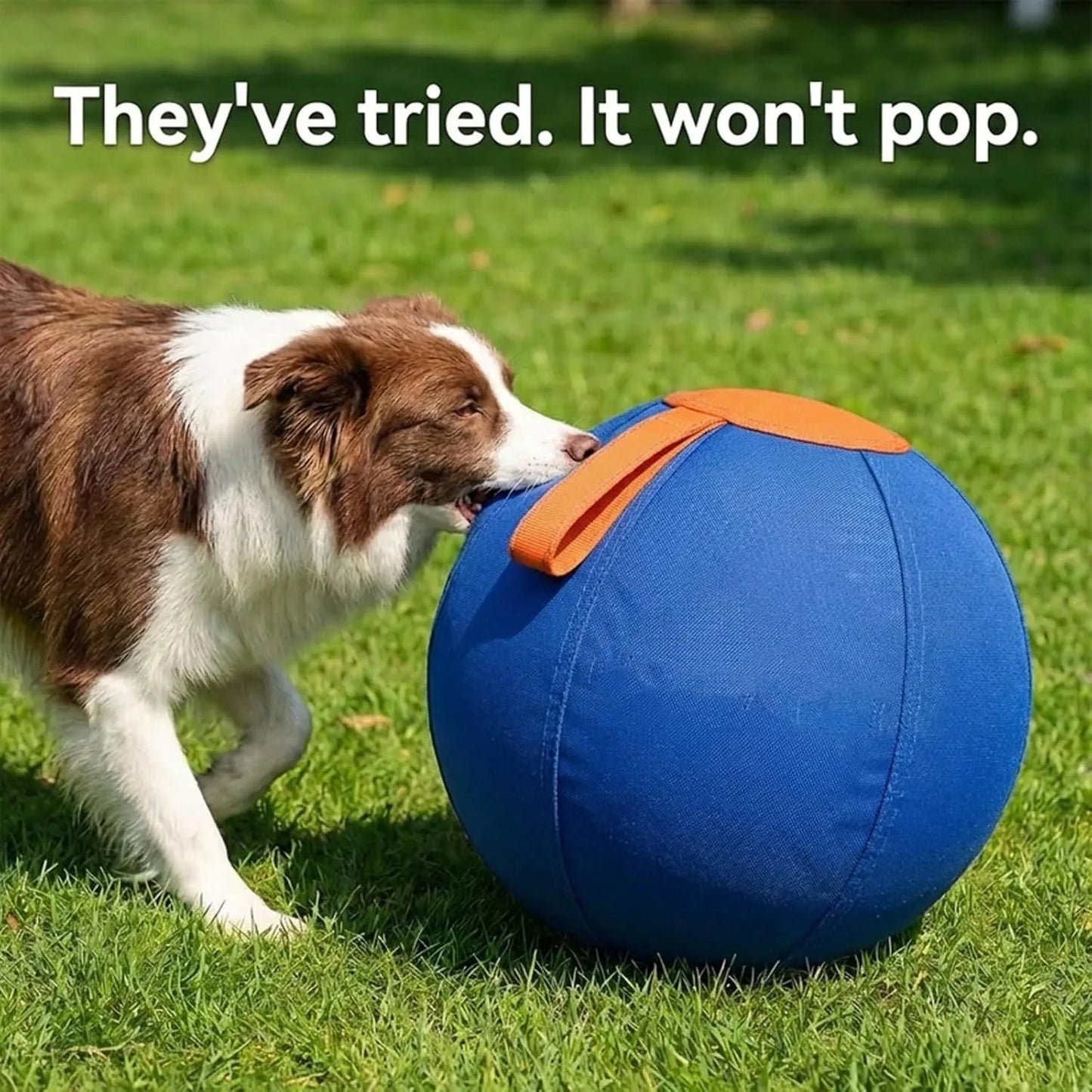 Herding Ball for Dogs With Protective Cover