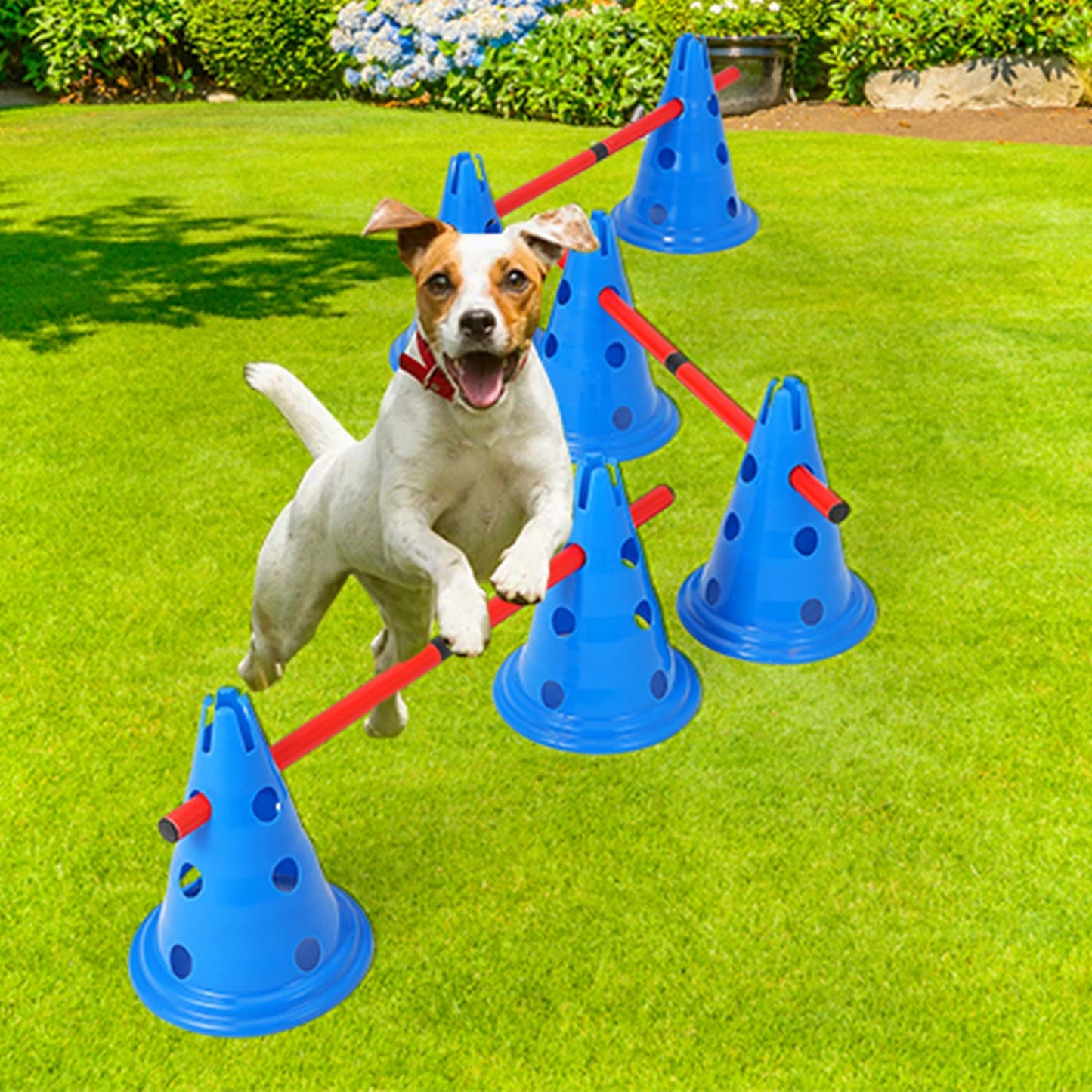 HiMISS Dog Agility Hurdle Cone Set With 12 Cones And 6 Rods