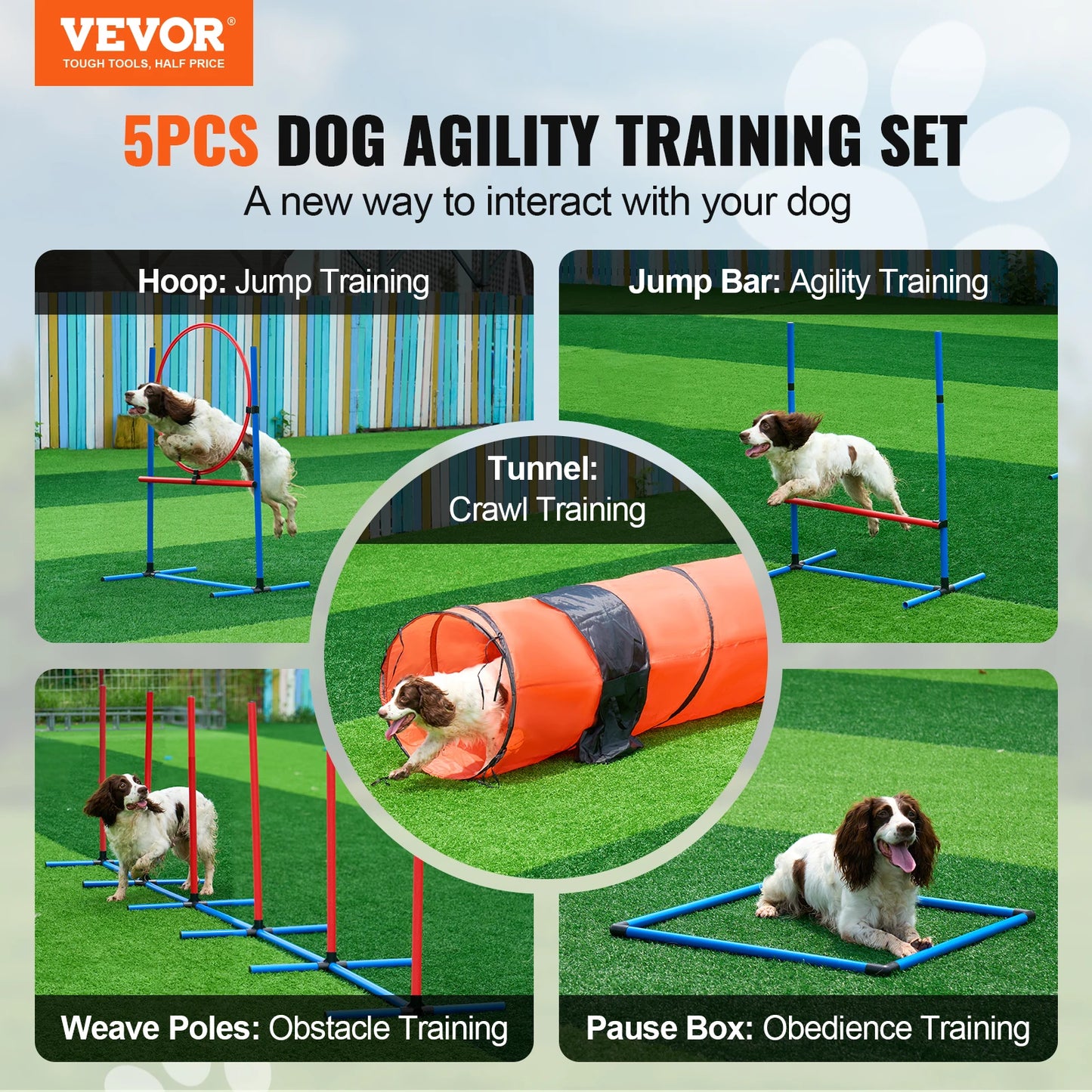 SucceBuy Dog Agility Training Equipment Set 5 Pieces
