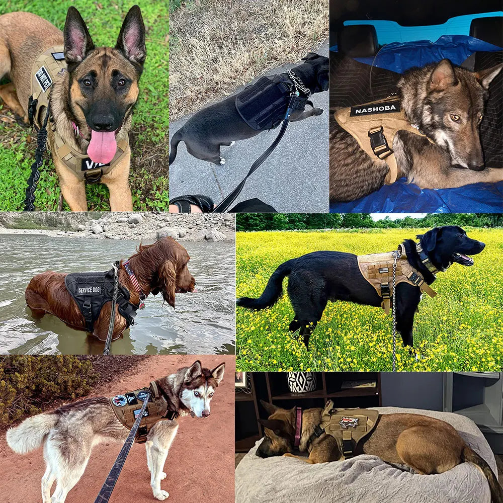 PETRAVEL Military Large Malinois Dog Harness Vest Set Patches Leash Kit