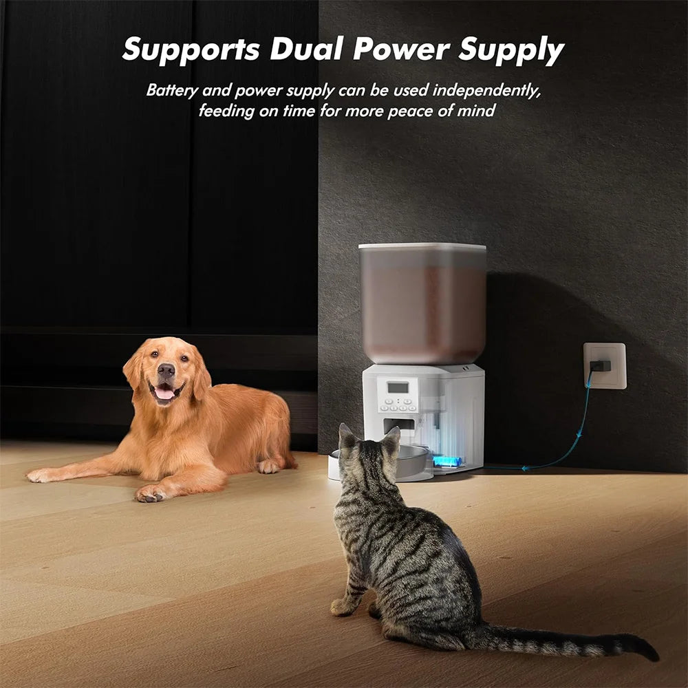 Nityers Cat Feeder With Stainless Steel Bowl And Voice Recorder